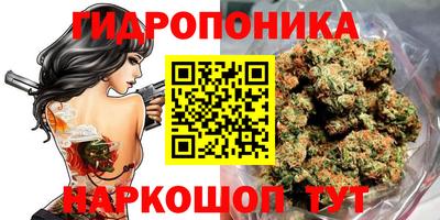 прущие грибы Севастополь