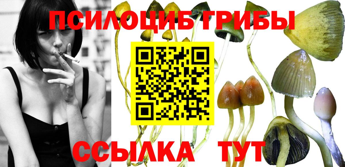 Галлюциногенные грибы Cubensis Омск
