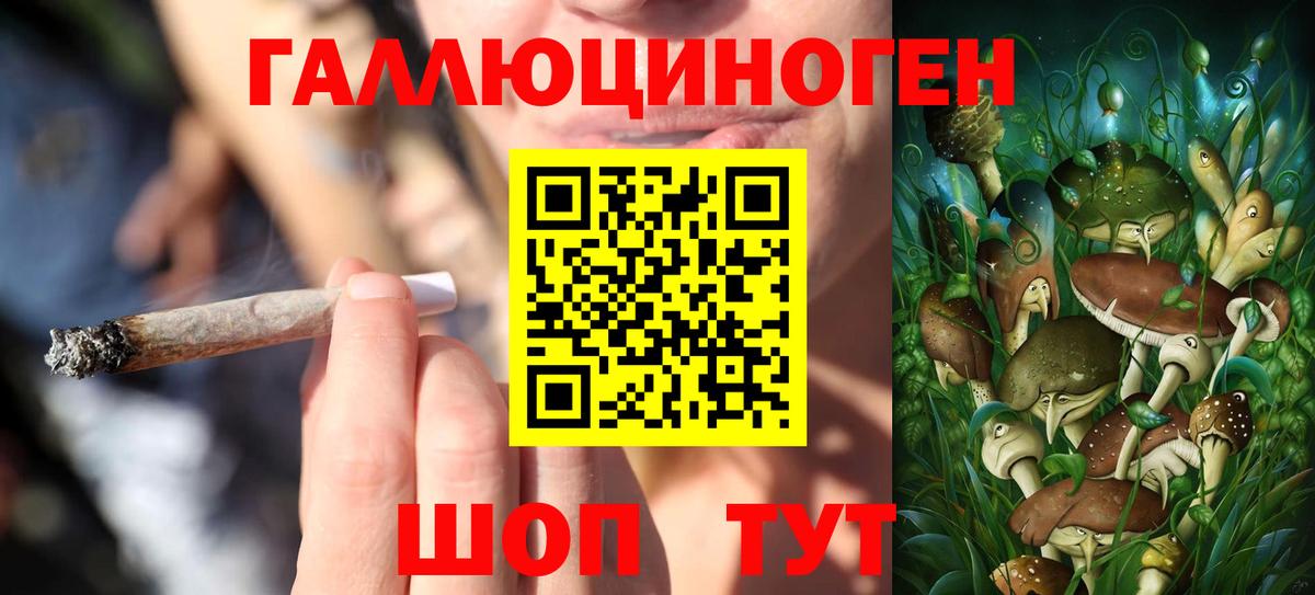 Галлюциногенные грибы Cubensis  Вход с VPN  Омск 
